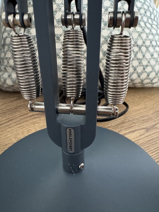 30 x Anglepoise Type 75 Mini Bureaulamp