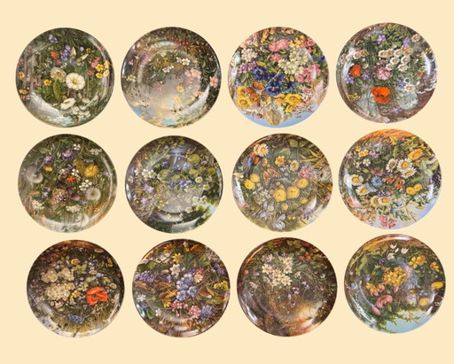 🌸 “Wild Beauty” | Fürstenberg collector plates | Limited Edition | Complete and rare series | New