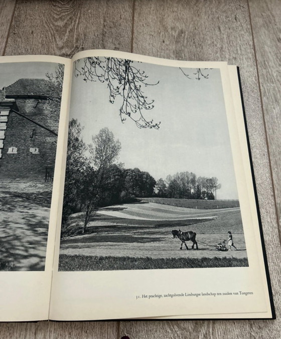 Image 1 of Serie di libri sulla bellezza della nostra terra