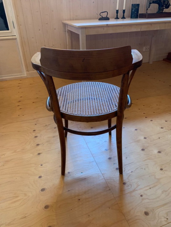 Image 1 of 6 sedie da pranzo Thonet Ligna