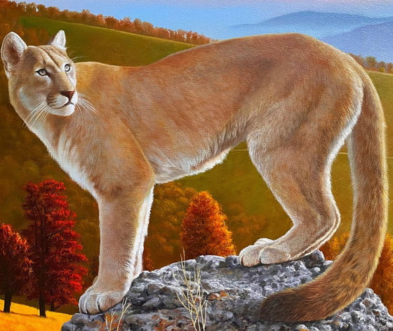 Original Oil Painting Portrait Animal Mountain Landscape Puma In The Wild – Paintings & Drawings, Canvas (photo 6 of 7)