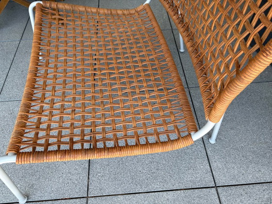 Poltrona "Frog" Living Divani (Disegnata da Piero Lissoni) – Sedie e poltrone, Metallo, Plastica (photo 7 of 13)