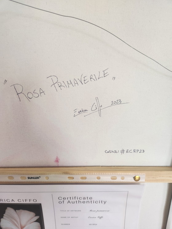 Image 1 of Dipinto ad olio originale "Rosa Primaverile" – Enrica Ciffo (2023) + Certificato