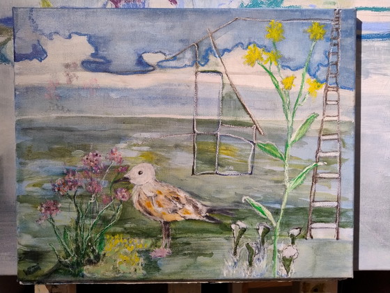 Image 1 of Gaviota joven