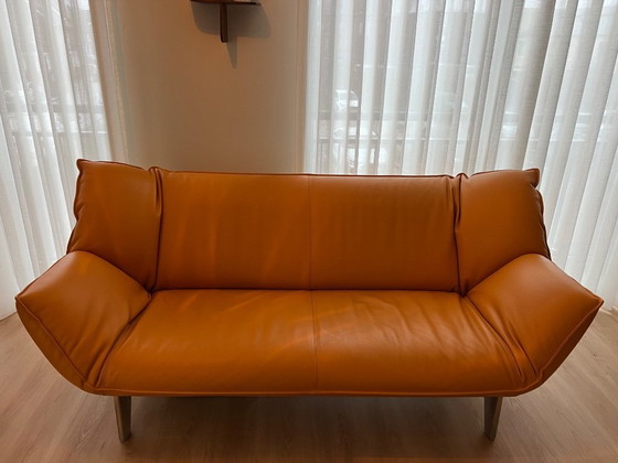 Image 1 of Divano Leolux Tango 3-4 posti