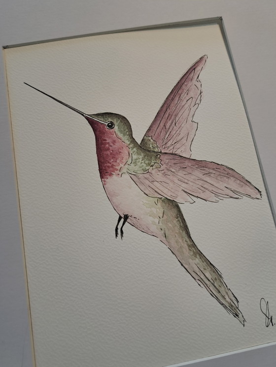Image 1 of Acquerello originale raffigurante un colibrì in una cornice color oro.