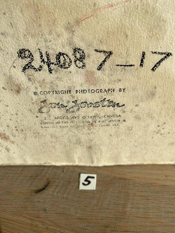 Image 1 of 1 collezione di 7 foto