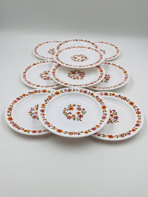Set mit 10 Desserttellern Scania