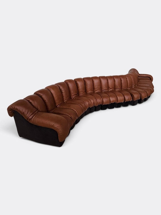 De Sede Ds600 Snake en cuir Cognac, 20 éléments, Canapés modulables, Textile, Marron (photo 4 sur 15)