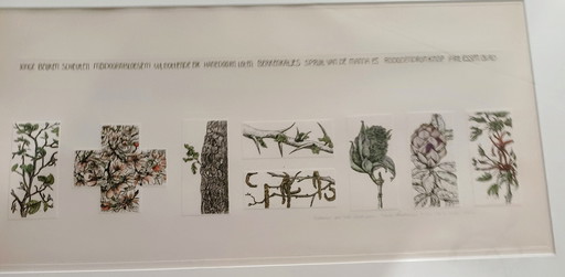Carla kleekamp. Impression personnelle 1938