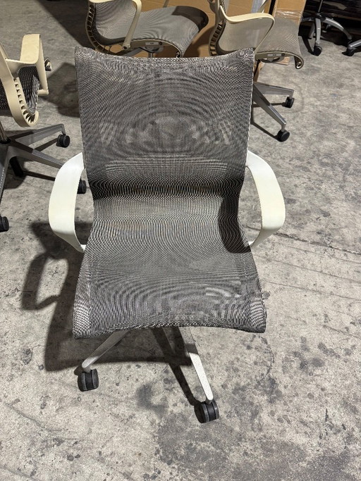 Chaises Herman Miller Setu Alpine d'occasion (40 disponibles)