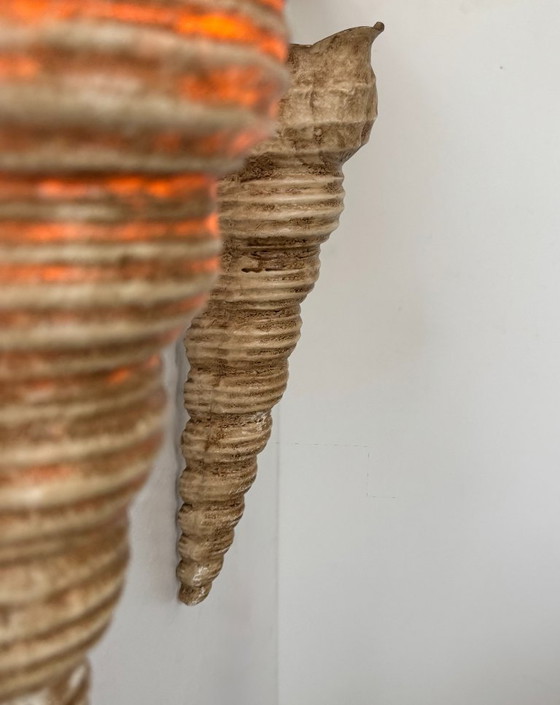 Image 1 of Coppia di applique da parete vintage a forma di conchiglia, in fibra di vetro beige, Francia 1960