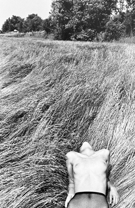 Image 1 of Michel Pinel 1949-2022 Superb Artistic Nude Photography Of Great Quality