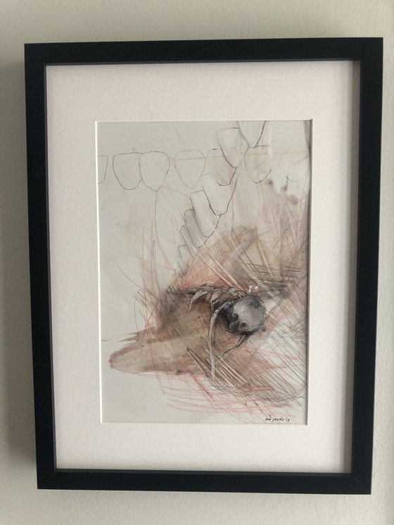 Image 1 of Rob Jacobs - tutto ha una fine