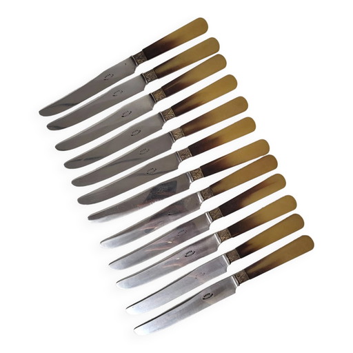 12 Bakelit-Messer mit Stahlklinge