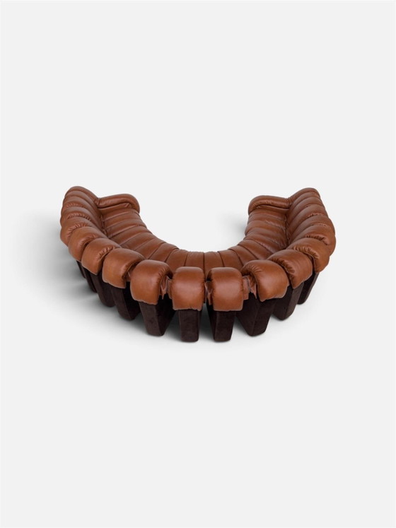 De Sede Ds600 Snake en cuir Cognac, 20 éléments, Canapés modulables, Textile, Marron (photo 8 sur 15)