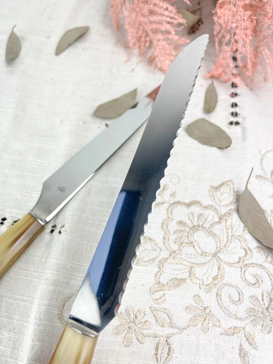 2 coltelli vintage NOGENT in bachelite – Accessori da tavola (photo 5 of 10)