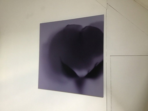 Impresión Dibond Yve van der Donck