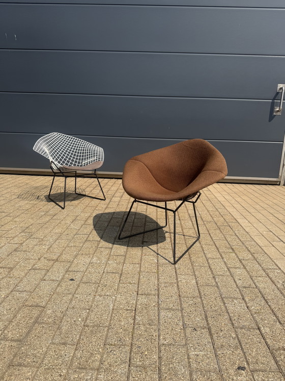 Originele vintage Knoll Bertoia Diamand chair TOPstaat!! – Fauteuils, Metal, Textile (photo 14 of 15)