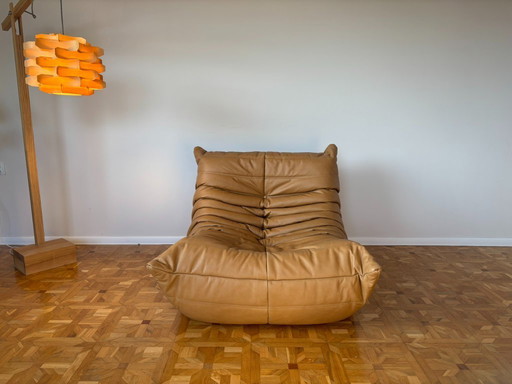Togo Leather Lounge Chair by Michel Ducaroy for Ligne Roset