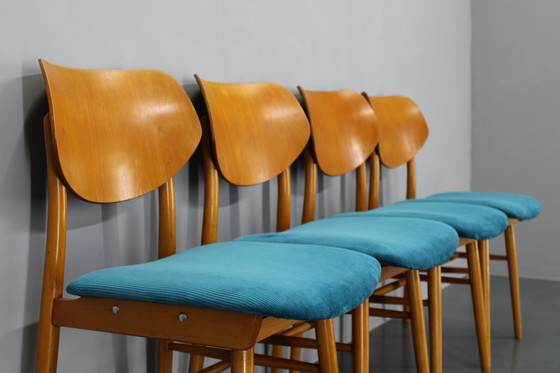 Image 1 of Juego de cuatro sillas de comedor de haya de la década de 1970 de Ton, Checoslovaquia