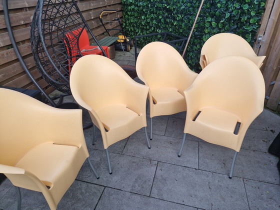 Image 1 of 10 x signore yo driad