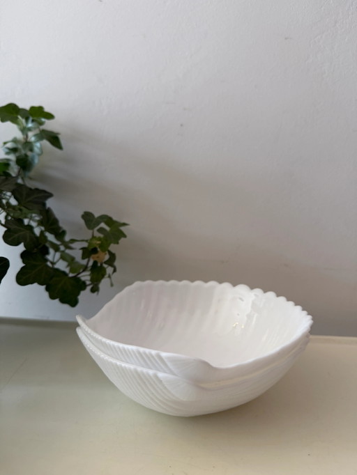 Two shell dishes