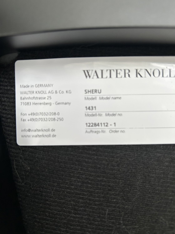 Sedie originali Walter Knoll Sheru – Sedie da pranzo, Cotone (photo 6 of 6)