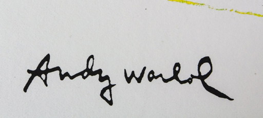 Andy Warhol 'Campbell's Soup Box: Kip met rijst'