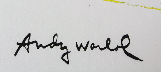 Image 1 of Andy Warhol 'Campbell's Soup Box: Kip met rijst'