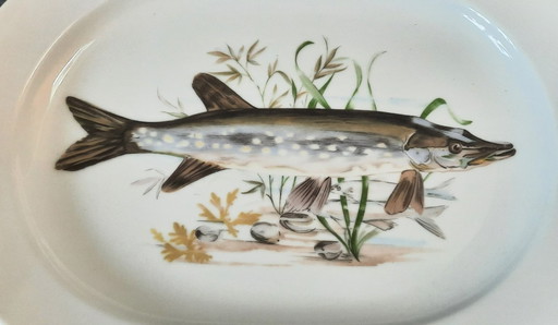 Handgeschilderde snoek ovale Vis schaal van Heinrich Bavaria