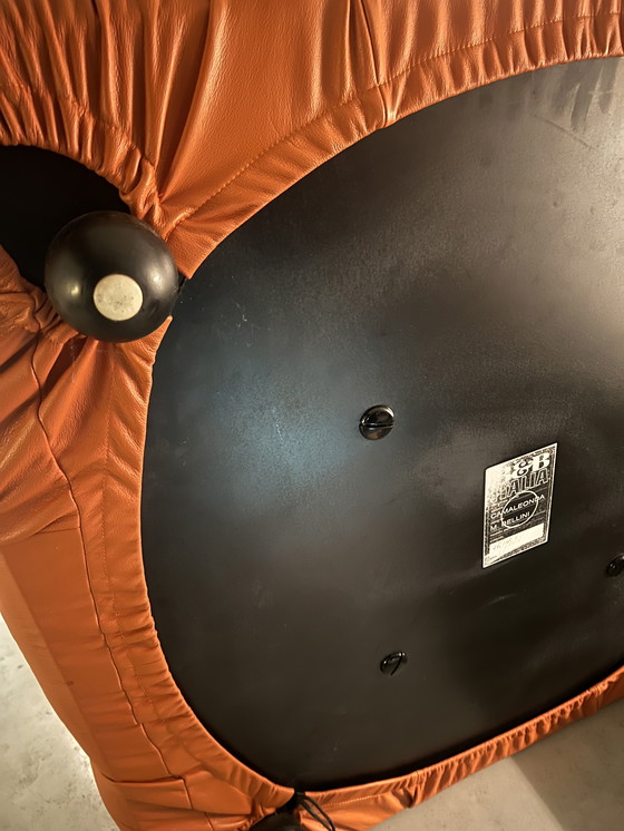 Image 1 of Camaleonda sofa van B&B Italia