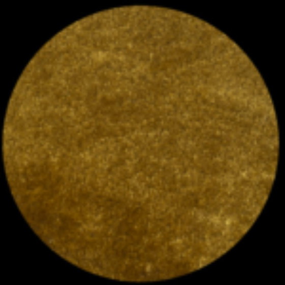 Image 1 of B.I.C Rug Window of Wealth 350 x 245 cm