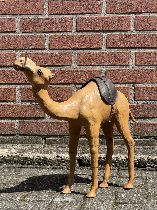 Kamel aus Ägypten