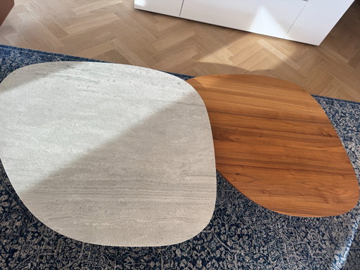 2 tavolini da caffè Leolux