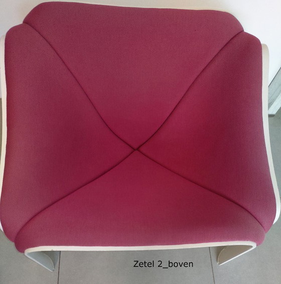 Image 1 of Two original ARTIFORT F300 chairs, designed by Pierre Paulin