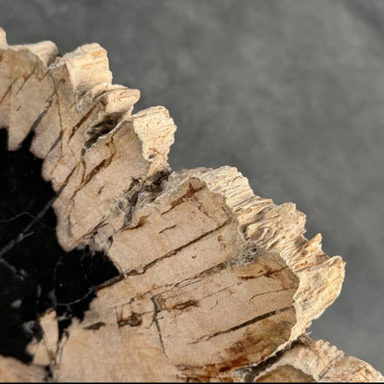 Image 1 of Madera fosilizada de Sooka, soporte hecho a medida (nuevo)