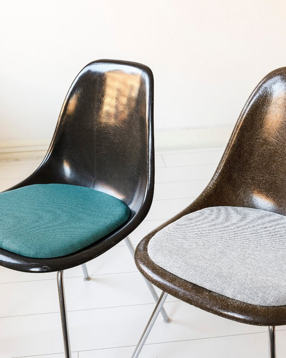 Image 1 of Set van twee Eames kuipjes/ eetkamerstoelen