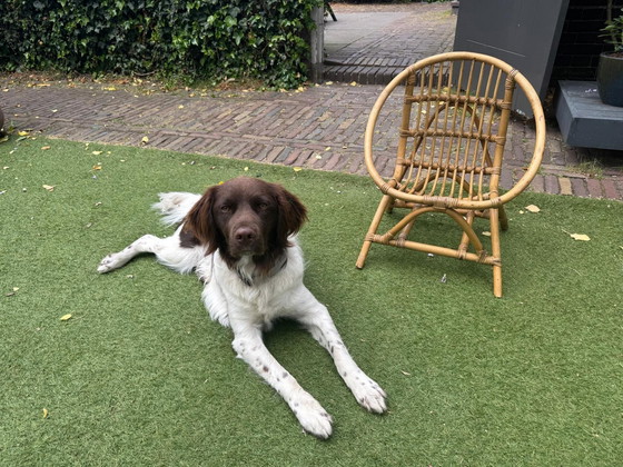 Image 1 of Atmosphera Kinderhochstuhl Leo Rattan