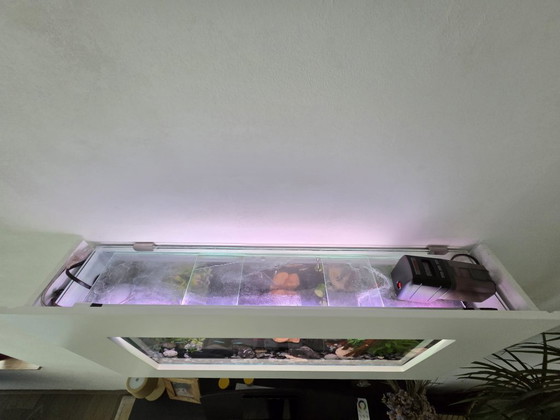 Acquario da parete unico con cornice bianca 80 cm – Decorazioni murali, Other (photo 3 of 7)