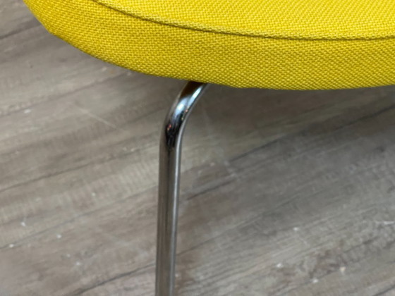 Image 1 of Artifort Libellula gialla