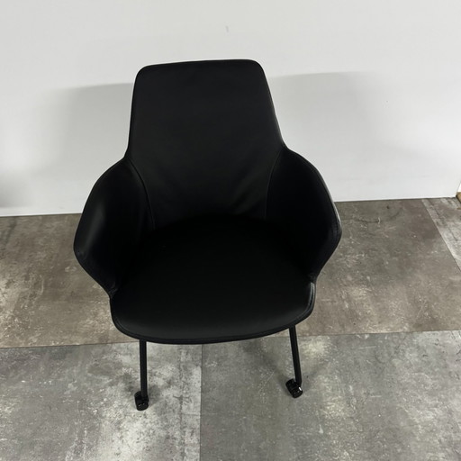 Maple four set of 6 – Bert Plantagie, eetkamerstoelen, Leather, Calfskin (photo 2 of 5)