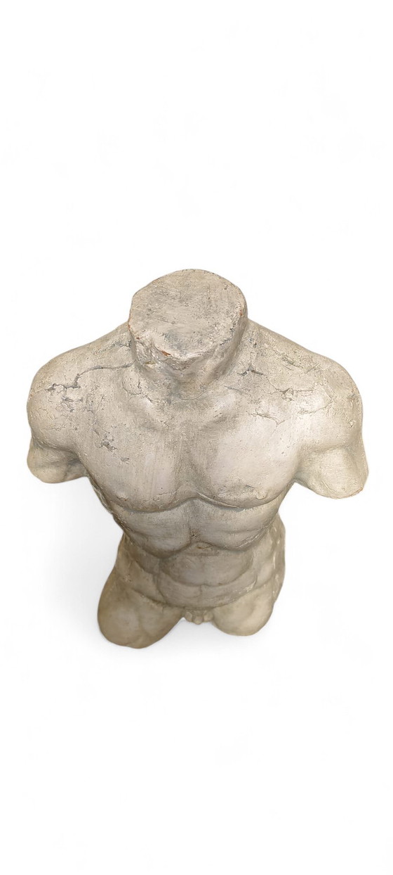 Image 1 of Frammento di scultura vintage in terracotta raffigurante un torso maschile, decorazione d'arte classica.