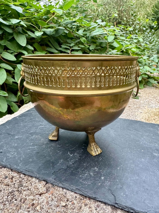 Art Nouveau Brass Lion Planter – Decorative Objects (photo 5 of 7)
