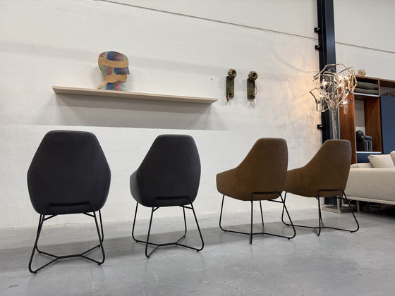 Image 1 of 4 Mostra modello Montis Lazy Vico sedie da pranzo in pelle