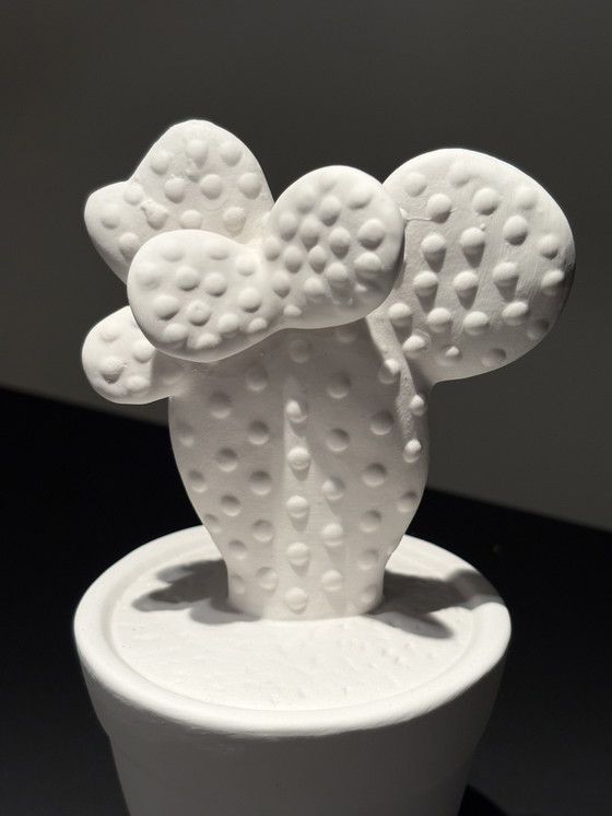 Image 1 of Modern cactus made of rough, white ceramic