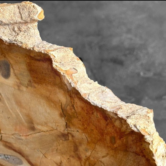 Image 1 of Bois fossilisé de Sooka, fabrication sur mesure standard (nouveau)