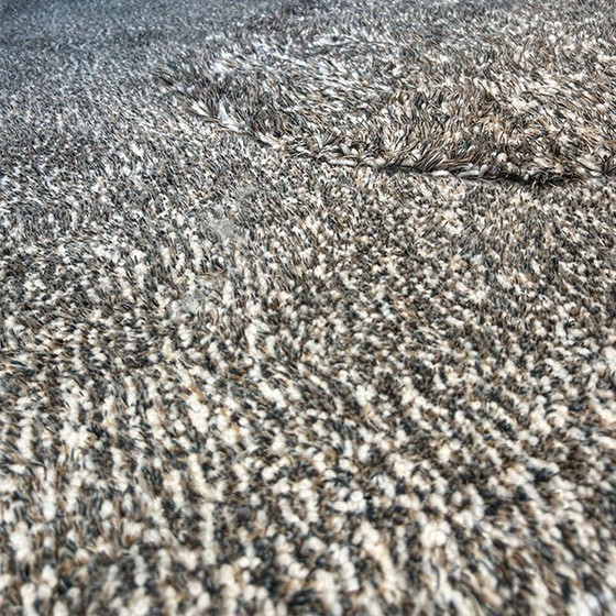 Image 1 of Millenerpoort Eterno vloerkleed - Ø250