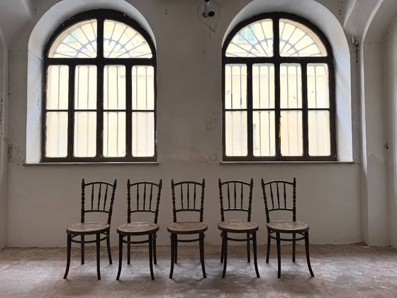 Image 1 of Sillas Thonet, lote de 5