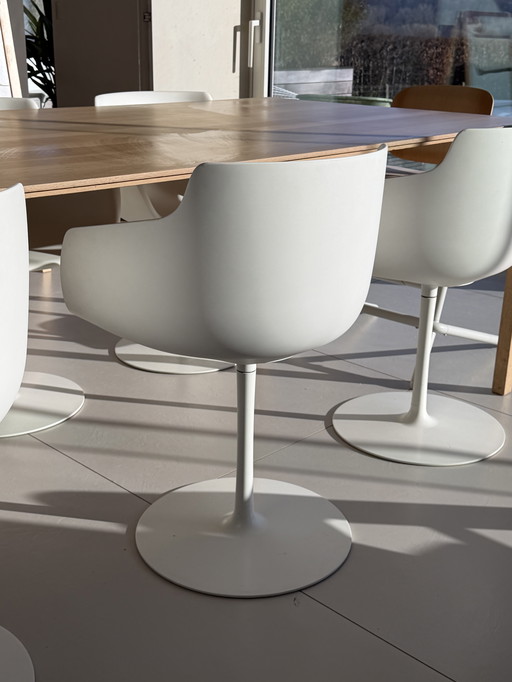 6 sedie Flow in MDF Italia